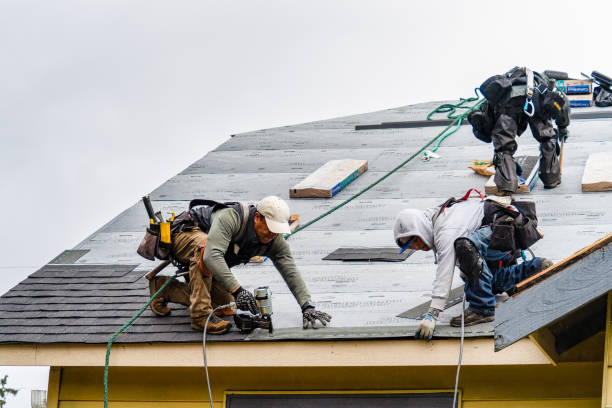 Professional Gutter Installation technician working in Capeville, VA